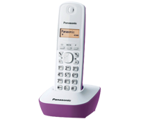 Panasonic KX-TG1611FXF