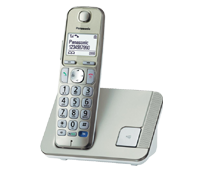 Panasonic KX-TGE210FXN